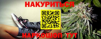 прущие грибы Будённовск
