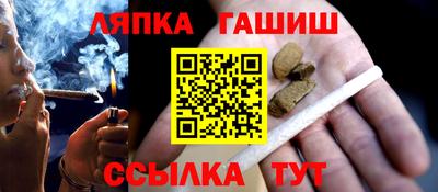 прущие грибы Будённовск