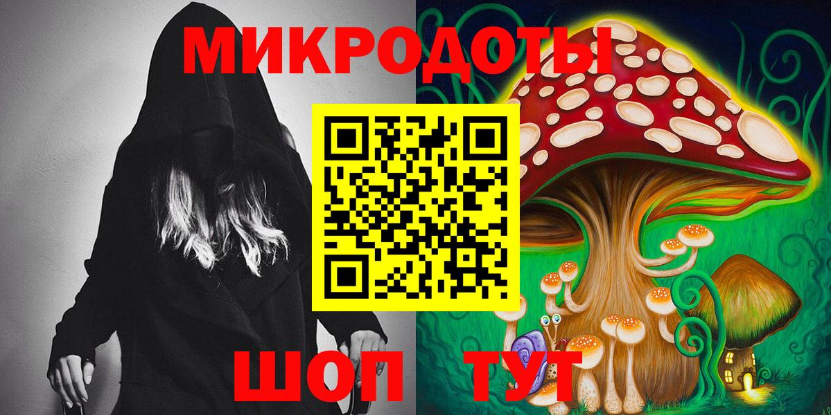 Галлюциногенные грибы Psilocybe Кыштым