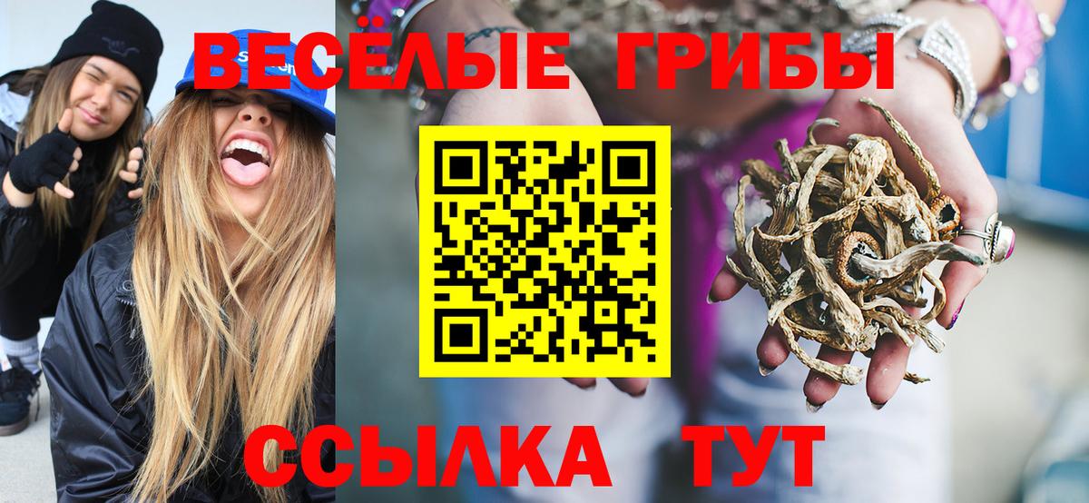 Псилоцибиновые грибы ЛСД  Галлюциногенные грибы MAGIC MUSHROOMS  Кыштым  Вход с VPN 
